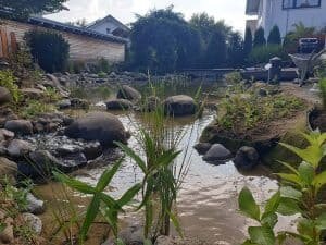 Gartenteiche