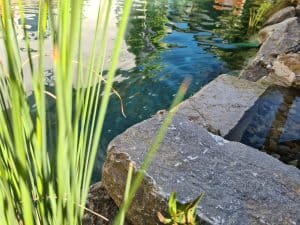Schwimmteichbau Uhldingen Muehlhofen