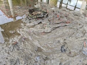 Teichschlamm absaugen und entfernen